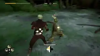 Absolver, faejin