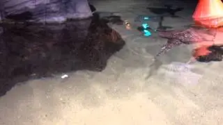 2013-11-03 123102.mov