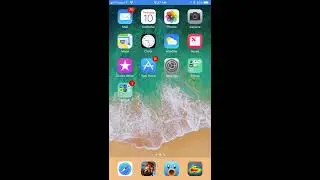 iOS 11 Screen Recording and Screen Capture Example