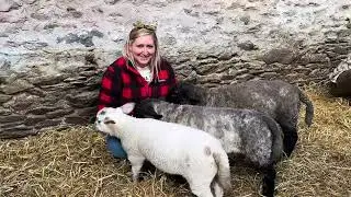 Ireland