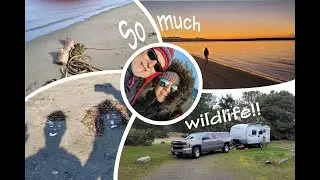 Winter camping at Fort Flagler State Park