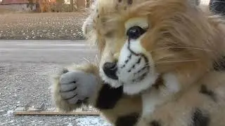 Kann man den Feinstaub von Silvesterfeuerwerk wirklich reduzieren? Cheetah Woman kennt die L&ouml;sung. 