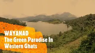 Wayanad - An Indian District In North-East Of Kerala State - India, Also Known as 'Green Paradise'