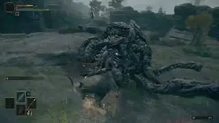 Elden Ring - Taking Down A Land Octopus For The First Time