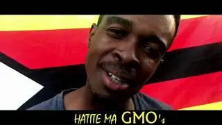This Is Zimbabwe (Official Music Video)