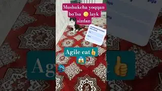 Agile catca #cat #comedy #comment #dance #news #funny #memes #love #youtubeshorts #youtuber #mushuk
