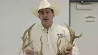 How to score antlers
