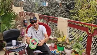 BEST SADDI FOR KITE FLYING ON MAKAR SANKRANTI / LOHRI / BASANT / 15TH AUGUST