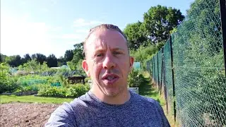 #68  Mid July Allotment walk around