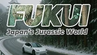 🦕 Fukui Prefecture | Dinosaurs, Pok&eacute;mon Fossils, Vegan Ramen & Snowy Roads!