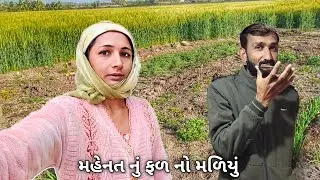 મહેનત કરી એ પ્રમાણે ફળ ન મળ્યું || R Gujju Vlog || 