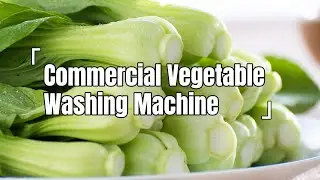 Gelgoog Leafy Vegetable Washing Machine | Thorough Cleaning Without Damaging The Leaves