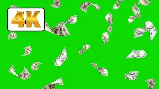 Money dollar bills falling videos loop green screen HD