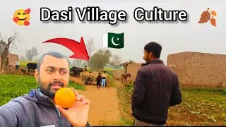 Full Dasi Culture Vlog #punjabi #culture #travel #travelvlog