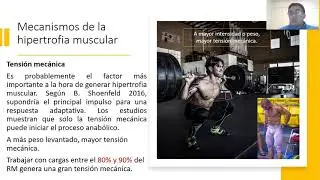 SOLO HIPERTROFIA, RESUMEN