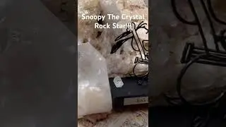 Snoopy the Crystal Rock Star!!! #fun #crystal #crystals #viral #dog #snoopy #snoopydog #cluster