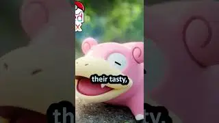 The Pokemon Food Chain