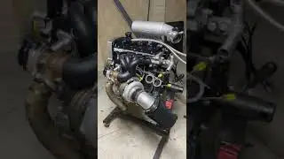 5sgte progress update