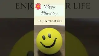 Happy Thursday 🌻#shortsquotes