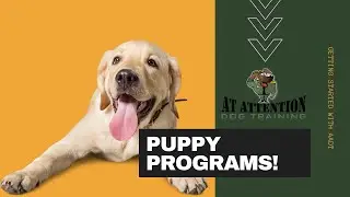 AADT Puppy Programs