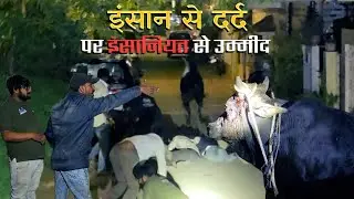 Gaumata Afraid of Humans, But Love Won | Real Cow Rescue in Bapunagar