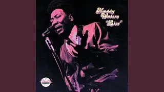 Nine Below Zero (Live At Mr. Kelly's/1971)