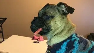 Mocha LOL Episode 320