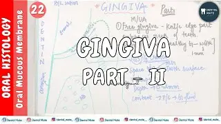 Gingiva | Part II | OMM | Dr Paridhi Agrawal