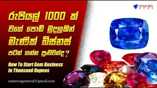 රු.1000 කින් මැණික් බිස්නස් පටන් ගන්න පුලුවන්ද | HOW TO START GEM BUSINESS IN THOUSAND RUPEES