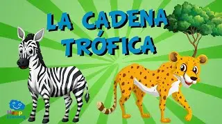La Cadena Trófica | Videos Educativos para Niños