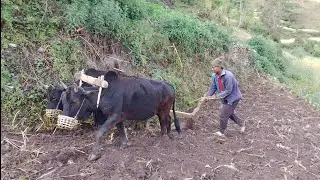 Real nepali daily life activities.🇳🇵🎀🎁🎊🎉&hearts;️