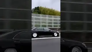 Nice whip !