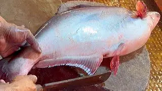 Nice Cutting Style | Big Pangas Fish Cutting & Chopping By Expert Fish Cutter