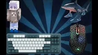 Bedwars ASMR Keyboard & Mouse Sounds | AgeraPvP Bedwars