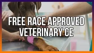Free RACE approved veterinary CE
