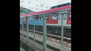 GRAFFIC TRAFFIC COLOGNE