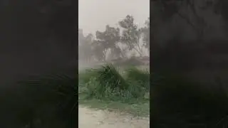 #windstorms #viral #shorts @afsheenbilal1266