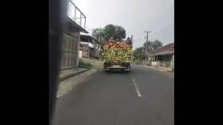 Curahatan hati sopir truk #sopirtruk #drivers