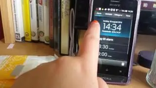 ROOSTER Alarm 2