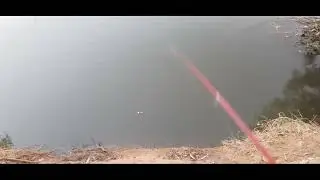الريم والغلة فى بحر ابو الأخضر والبلطى الخشن