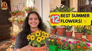 EASY Indian Balcony Gardening: Ye 12 Summer Flowers Har Koi Laga Sakta Hai! ✨