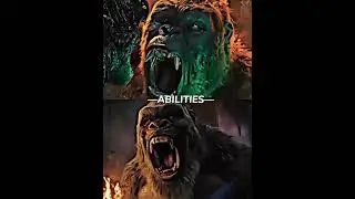 2021 Kong vs. 2024 Kong