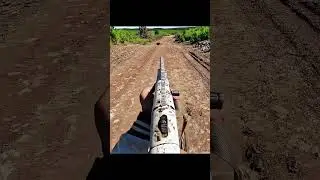 идеальный снимок охоты на кабана в завершающемся сезоне#cinghiale#wildboar#caccia#wildhunting#chasse