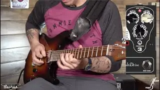 A todo Fuzz - Entrega 38 - Multidrive by Taurus Amplification