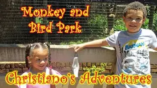 Adventures & Animals at the Monkey Park | Monkey and Bird Park in Benoni | Christiano's Adventures
