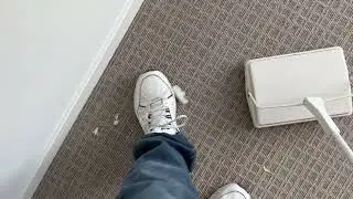 Carpet Cleaning Guys Vlogs (JEHONN Carpet Floor Sweeper with Horsehair, Non Electric Manual Sweeping