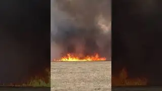Fire Tornado out of control nearby Sofia, Bulgaria! 😱 #shorts