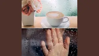 Quiet Music for Sunny Cafe