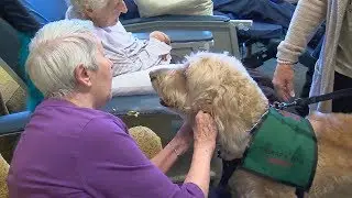 Canines for Christ: Local pet owners train dogs to assist in ministry