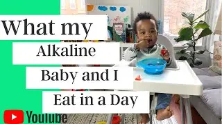 What my 8 month Old Alkaline Vegan Baby Eats in a Day Dr.Sebi Approved